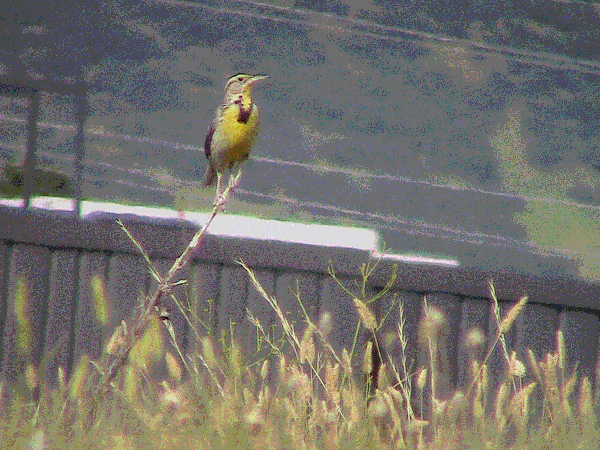 309.7 KB image
