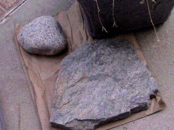 342.2 KB image