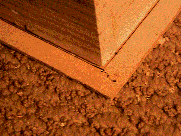 380.3 KB image